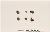 藏品(小羊角衣)的圖片